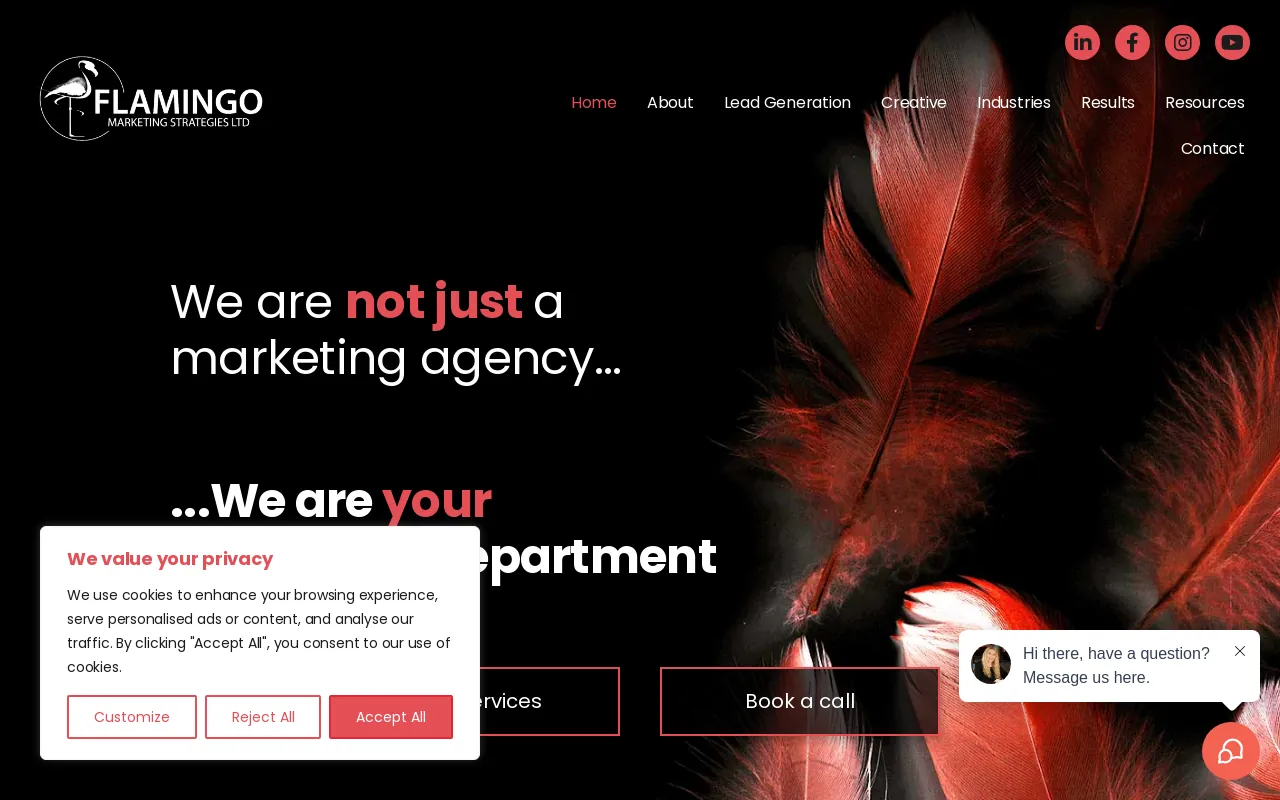 Screenshot of flamingogo.info